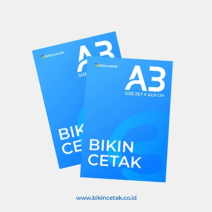 Print A3